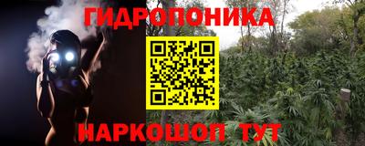 a pvp Бузулук