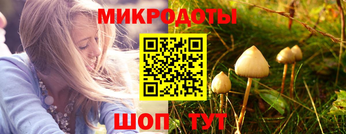 Псилоцибиновые грибы прущие грибы Шелехов