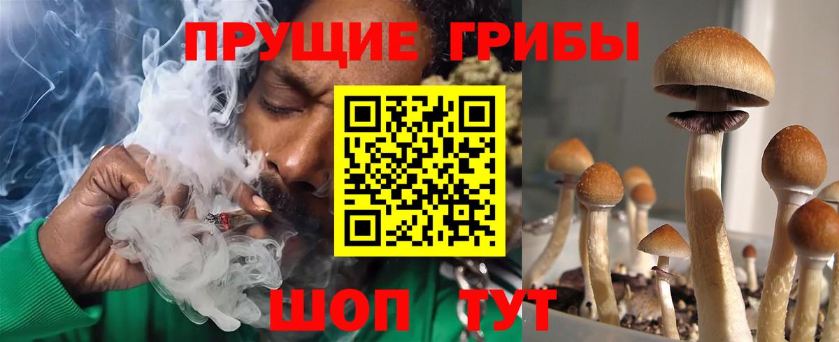 Шелехов  Галлюциногенные грибы ЛСД  Вход с VPN 