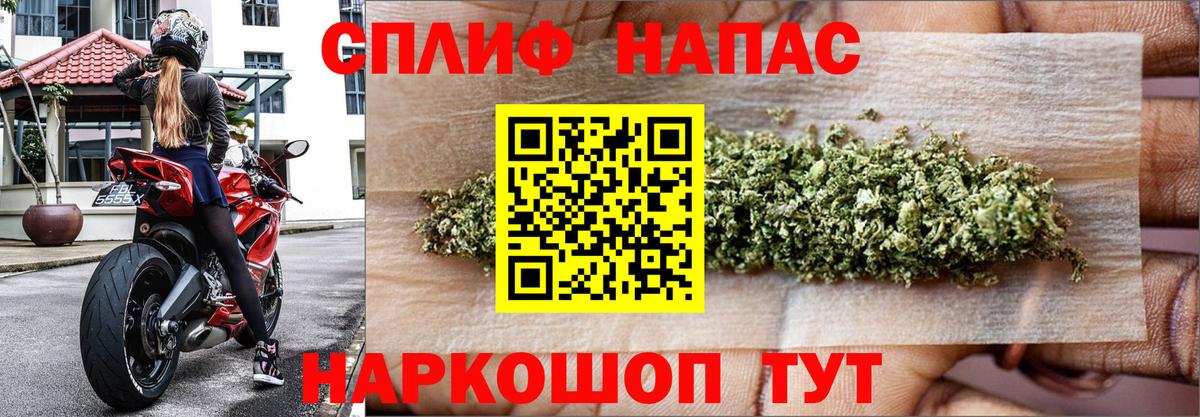 Каннабис конопля Шелехов